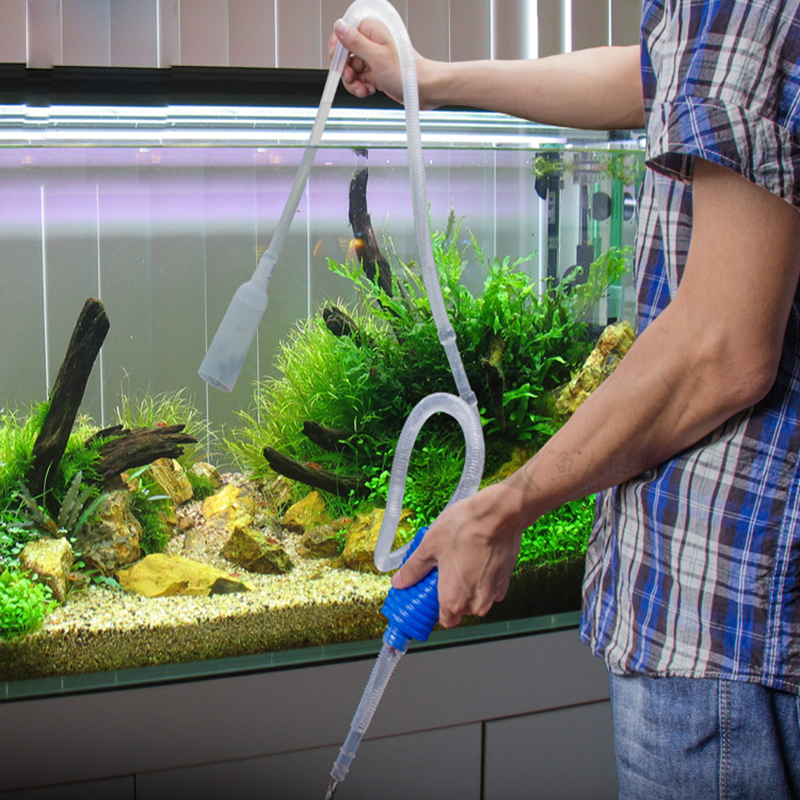 Managing your fish aquarium
